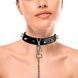 Нашийник з шипами та повідцем Art of Sex - Collar Spikes and Leash SO5154,1 - інтернет-магазин інтимних товарів Squitter