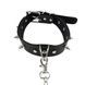 Нашийник з шипами та повідцем Art of Sex - Collar Spikes and Leash SO5154,6 - інтернет-магазин інтимних товарів Squitter