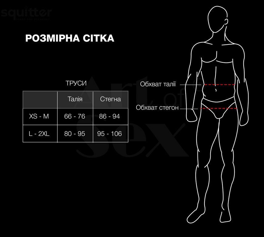 Чоловічі труси з сітки Art of Sex &mdash; Demir, колір чорний, розмір L&ndash;2XL SX3877 - онлайн-сексшоп Сквітер