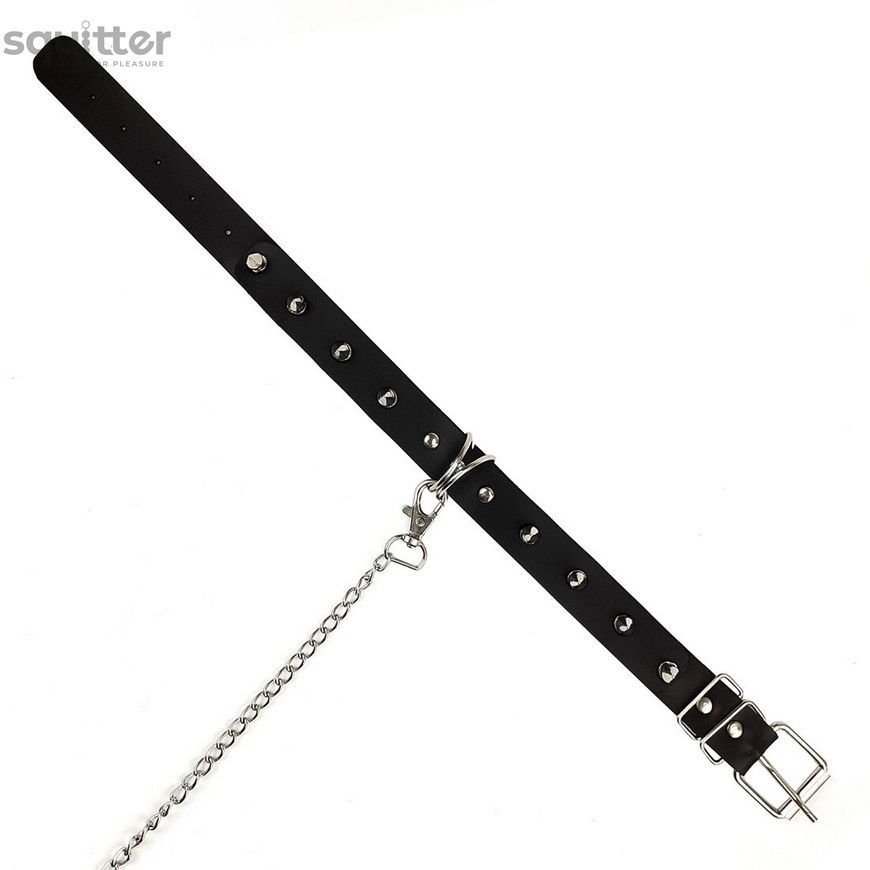 Нашийник з шипами та повідцем Art of Sex - Collar Spikes and Leash SO5154 - онлайн-сексшоп Сквітер