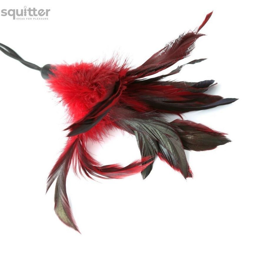 Метелочка-щекоталка Sportsheets - PLEASURE FEATHER RED на веревочной петле SO2190 - онлайн-сексшоп Сквитер
