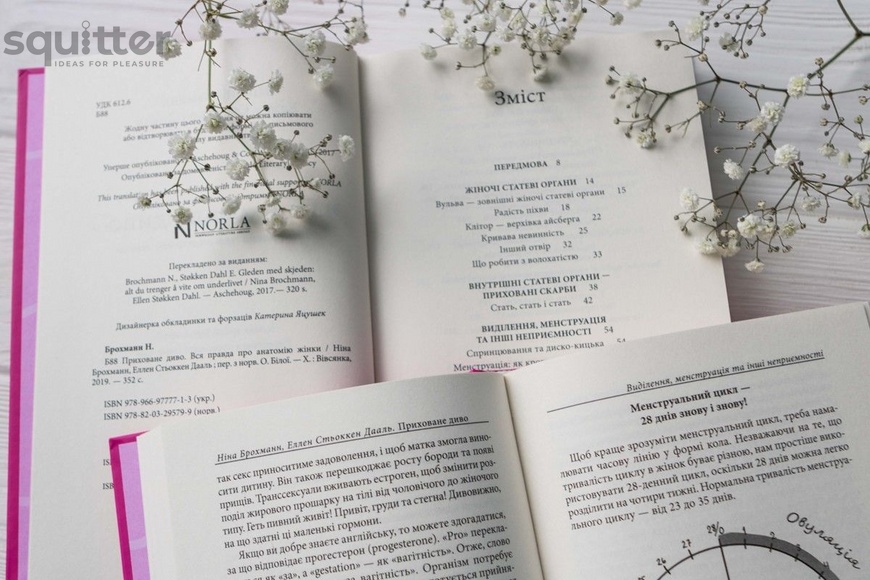 Книга "Приховане диво. Вся правда про анатомію жінки" Ніна Брохманн, Еллен Стьоккен Дааль SO2890 фото