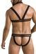 Комплект мужского белья с креплениями Passion 043 Jacob S/M Black, трусы, шлейкаSO7601,2 - интернет-магазин интимных товаров Squitter