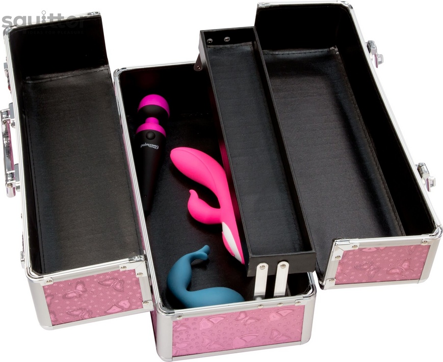 Кейс для зберігання секс-іграшок BMS Factory - Large Lokable Vibrator Case Pink SO8900 фото