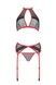 Комплект білизни Passion SATARA SET XXL/XXXL red, топ, пояс для панчіх, стрінги SO8486,3 - інтернет-магазин інтимних товарів Squitter