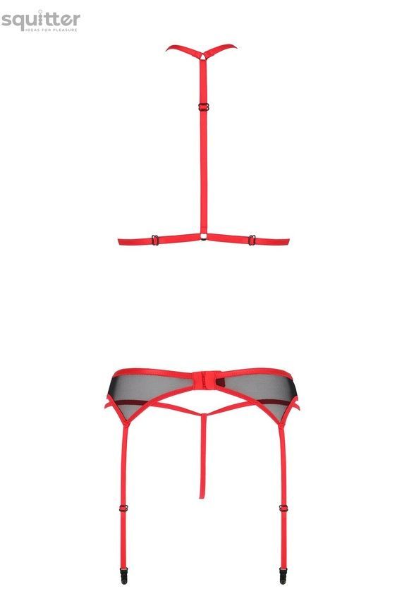 Комплект білизни Passion SATARA SET XXL/XXXL red, топ, пояс для панчіх, стрінги SO8486 - онлайн-сексшоп Сквітер