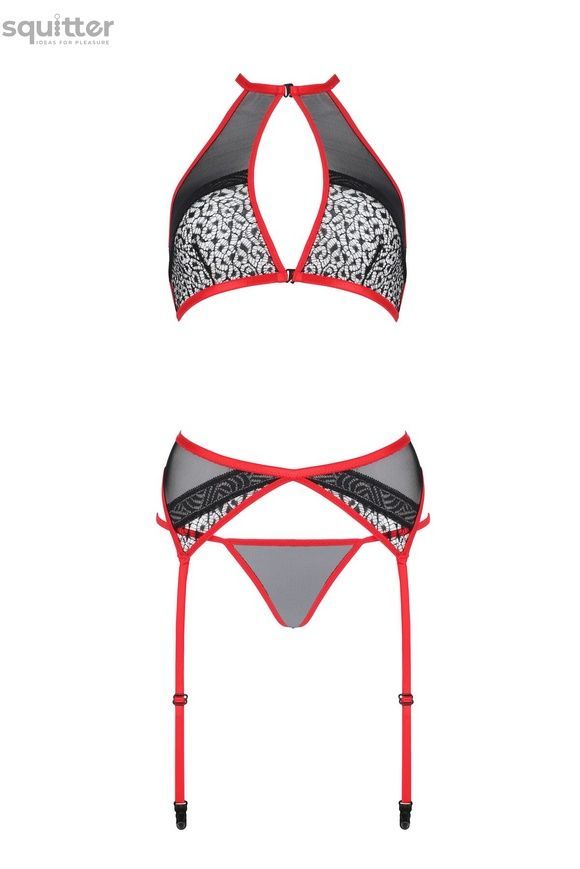Комплект білизни Passion SATARA SET XXL/XXXL red, топ, пояс для панчіх, стрінги SO8486 - онлайн-сексшоп Сквітер