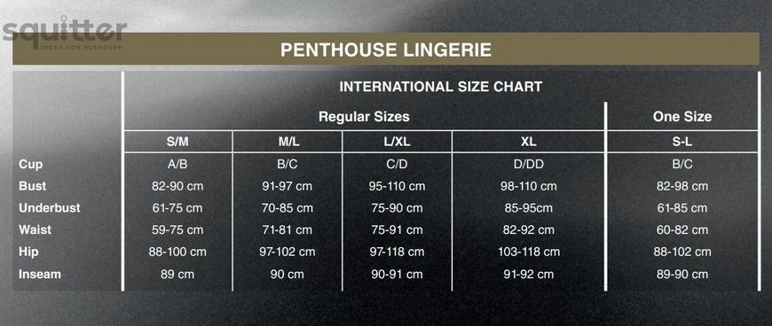 Бэби-долл с ажурным браллетом и высоким разрезом Penthouse - Sweet Beast Black L/XL SO5295 - онлайн-сексшоп Сквитер