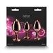 Набір анальних пробок NS Novelties Rear Assets - Trainer Kit - Rose Gold - Pink Gem SX4355,4 - інтернет-магазин інтимних товарів Squitter