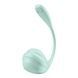 Смарт-віброяйце Satisfyer Smooth Petal Connect App Mint SX0666,4 - інтернет-магазин інтимних товарів Squitter