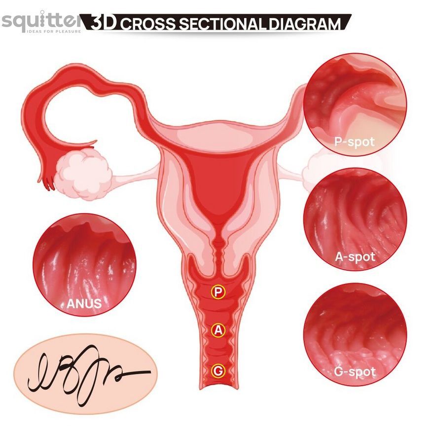 Мастурбатор Kokos 004 Vailla ONAHOLE Real Hips 2WayPlus з вібрацією та масажем SX3238 - онлайн-сексшоп Сквітер