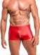 Чоловічі шорти Noir Handmade H097 Ignite shorts M SX4218,1 - інтернет-магазин інтимних товарів Squitter