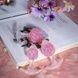 Анальна пробка Liebe Seele Icecream-shaped Crystal Anal Plug - Pink Medium SX4867,4 - інтернет-магазин інтимних товарів Squitter