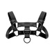 Портупея Bedroom Fantasies Bruno Chest Bulldog Harness - Black SO8828 фото 2