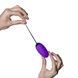 Виброяйцо Adrien Lastic Ocean Breeze Purple с пультом ДУ, 10 режимов работыAD40743,4 - интернет-магазин интимных товаров Squitter