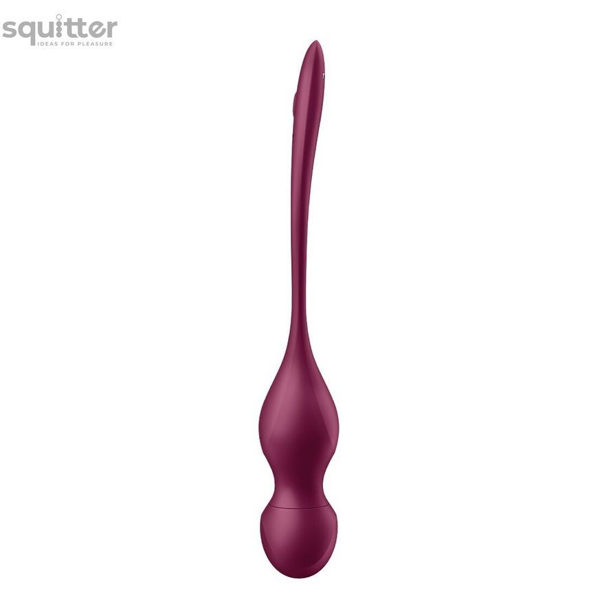 Смарт-вагінальні кульки з вібрацією Satisfyer Love Birds Vary Connect App, змінювана маса, пульт ДК SX1216 - онлайн-сексшоп Сквітер