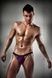 Чоловічі трусики сліпи Passion 006 SLIP violet XXL/XXXL PSM0063,1 - інтернет-магазин інтимних товарів Squitter