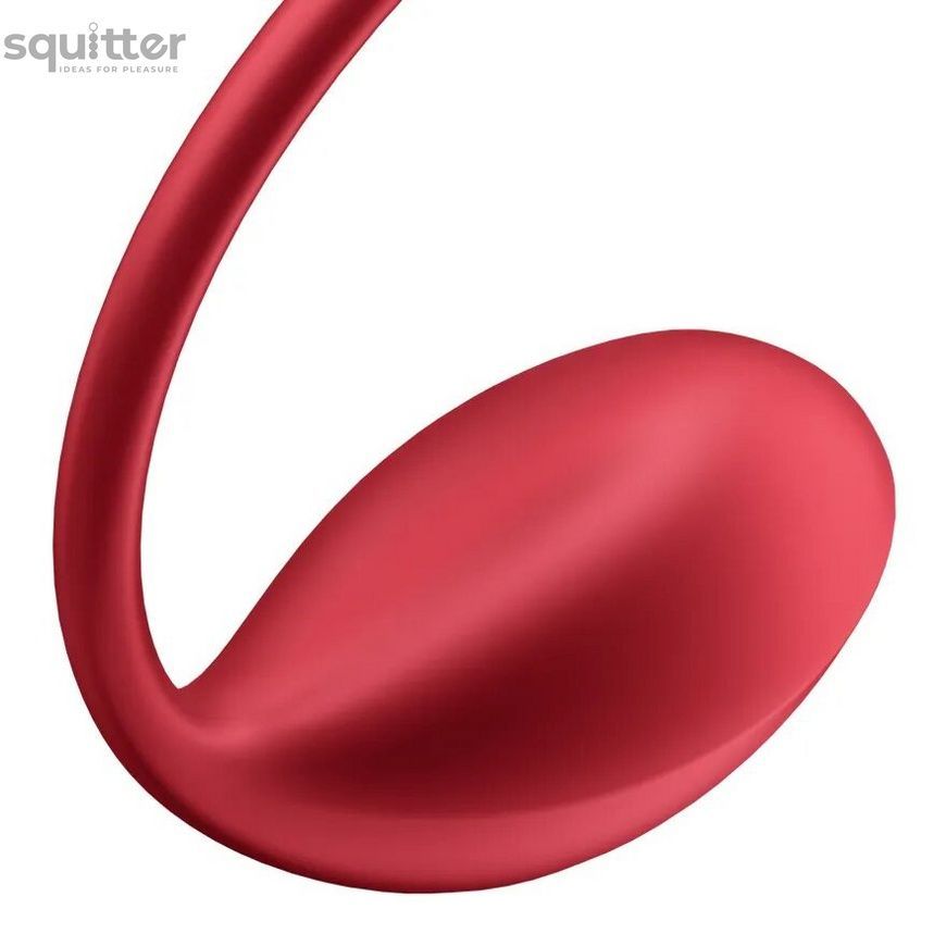 Смарт-віброяйце Satisfyer Shiny Petal Connect App, керування зі смартфона, пульт ДК SX1220 - онлайн-сексшоп Сквітер