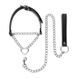 Нашийник з повідцем Bedroom Fantasies: Collar with Chain - Silver SX2207,2 - інтернет-магазин інтимних товарів Squitter