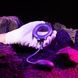 Ерекційне віброкільце з віброяйцем Hueman - Eclipse Anal Vibrator SX3893,10 - інтернет-магазин інтимних товарів Squitter