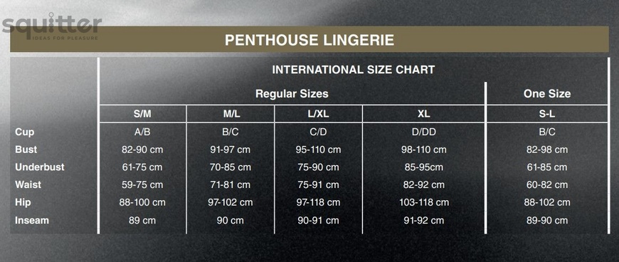 Бодістокінг з імітацією панчох на підв'язках Penthouse - Eye of The Storm White XL SO5254 фото