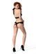Комплект Passion KESMINA SET black L/XL SX1922,2 - інтернет-магазин інтимних товарів Squitter