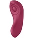 Набір Satisfyer Partner Box 1 (вібратор Import Double Joy + вібратор у трусики Sexy Secret) SO7143 фото 7