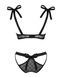 Напівпрозорий еротичний комплект Obsessive Obsessivia 2-pcs set black S/M, бюстгальтер та трусики SO7297,6 - інтернет-магазин інтимних товарів Squitter